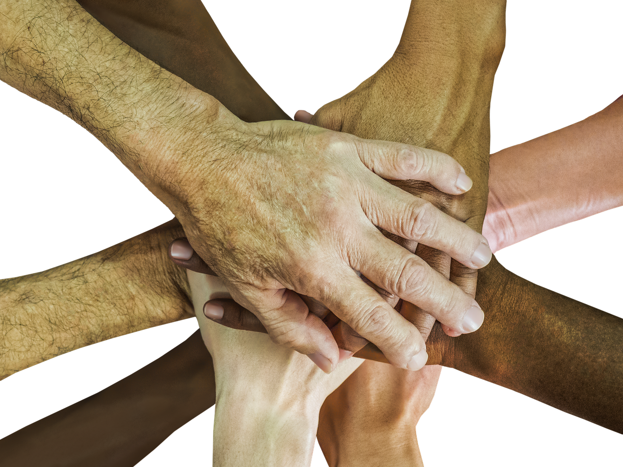 Services hands, teamwork, team-spirit, cheer up, team, people, group, together, unity, friendship, partnership, person, union, hand in hand, diversity, unite in diversity, friends, race, brown team, brown group, brown teamwork, brown together, brown friendship, teamwork, teamwork, team, team, unity, unity, partnership, diversity, diversity, diversity, diversity, diversity